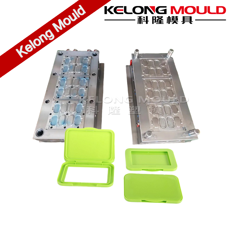 Plastic Injection Wet Wipes Lid Mould Maker in China